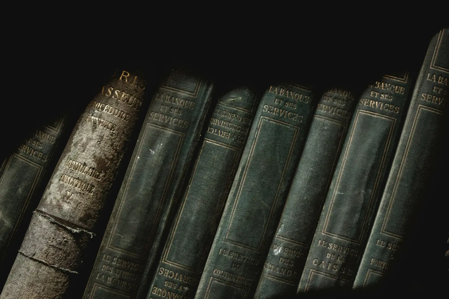 A row of aged, leather-bound books.
